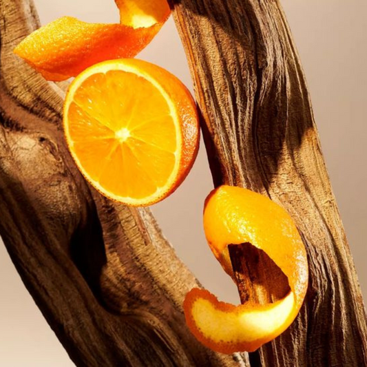 Cedro y sándalo Candle