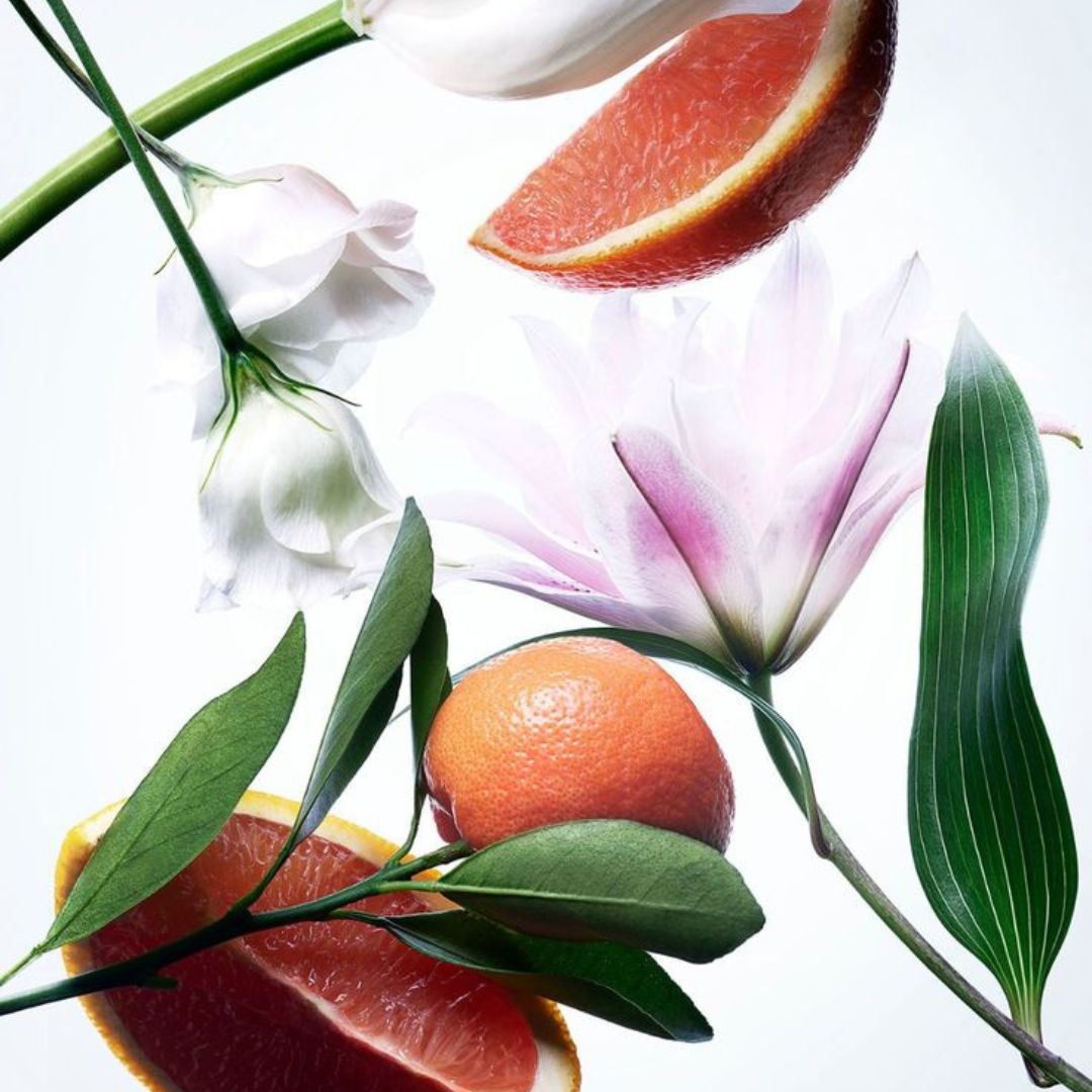 Exotic Home por mayor