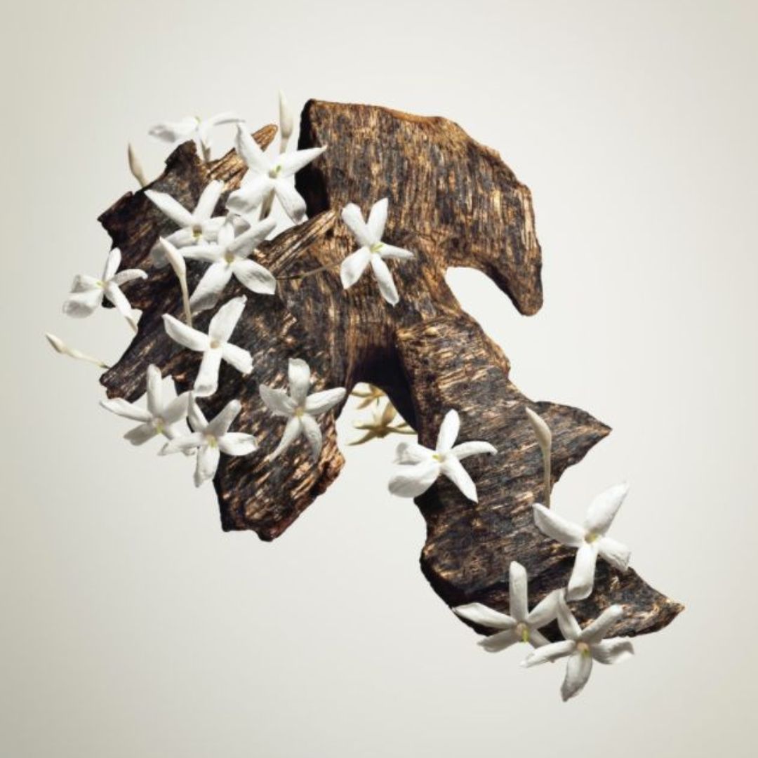 Cedro y sándalo Home por mayor