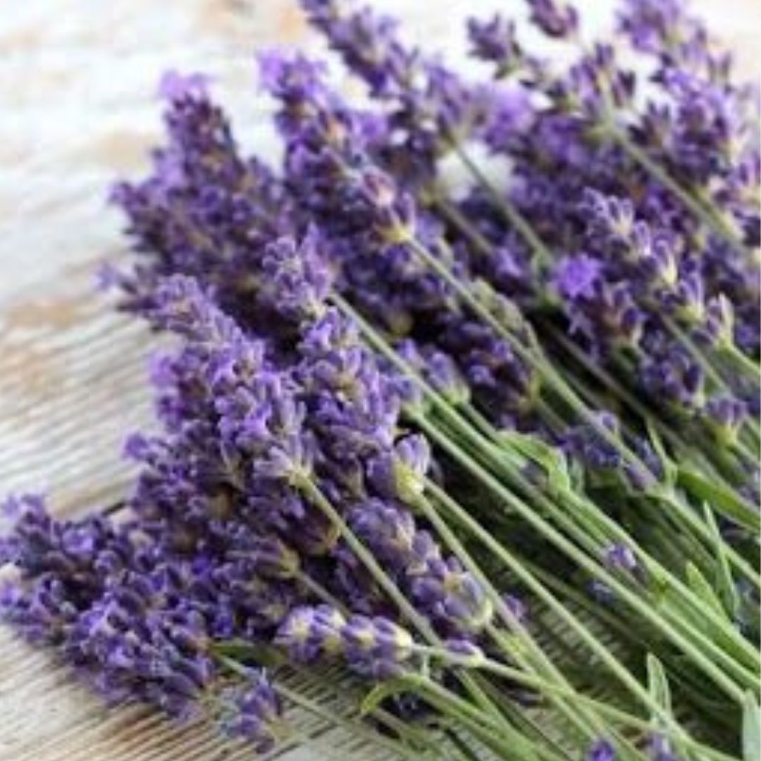 Lavanda Spa